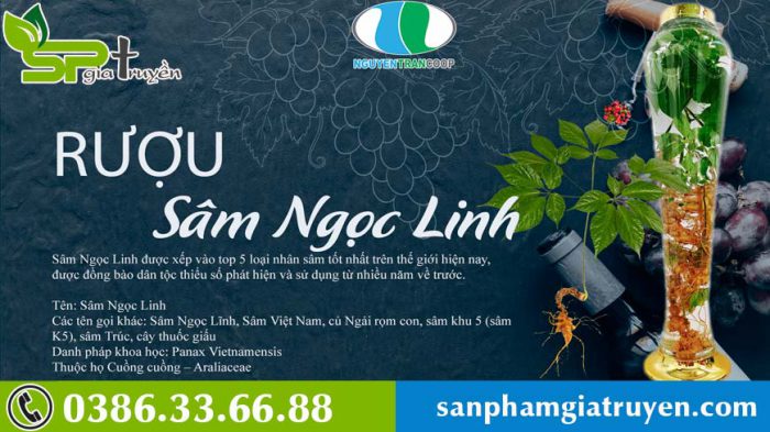 cong-dung-cua-sam-ngoc-linh-ngam-ruou