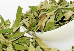 la sen kho giup giam can an toan