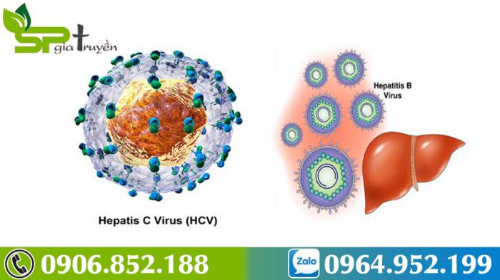 benh-viem-gan-c-1