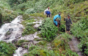 di-tim-sam-ngoc-linh