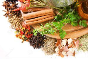 5 Loại Thảo Dược Kháng Virus Giúp Tăng Cường Hệ Miễn Dịch