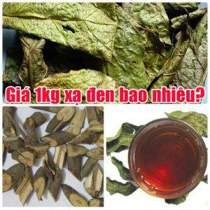 cay-xa-den-gia-bao-nhieu