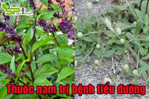 thuoc-nam-tri-benh-tieu-duong