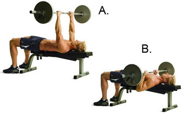 bai-tap-Barbell-Bench-Press