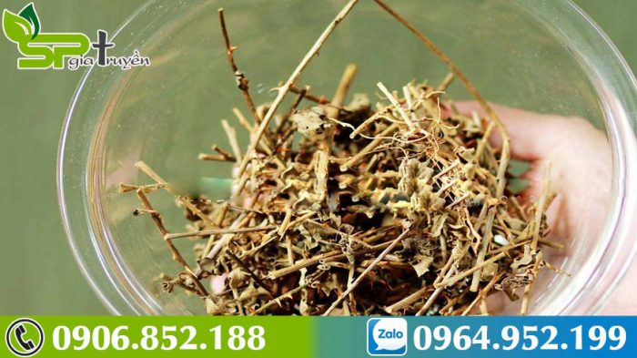 cach-dung-cay-ca-gai-leo