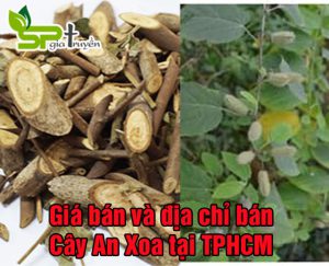 cay-an-xoa-gia-bao-nhieu-mua-o-dau