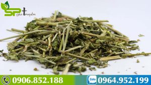 uong-cay-xuong-khi-kieng-gi