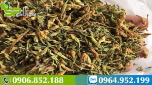 uong-hoa-du-du-duc-kieng-gi