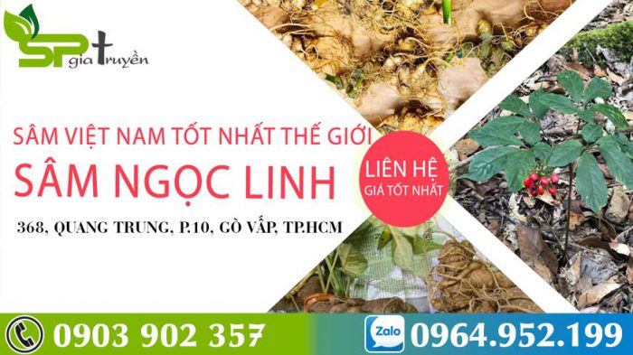 uong-sam-ngoc-linh-kieng-gi