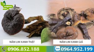 cach-phan-biet-nam-lim-xanh-that-gia