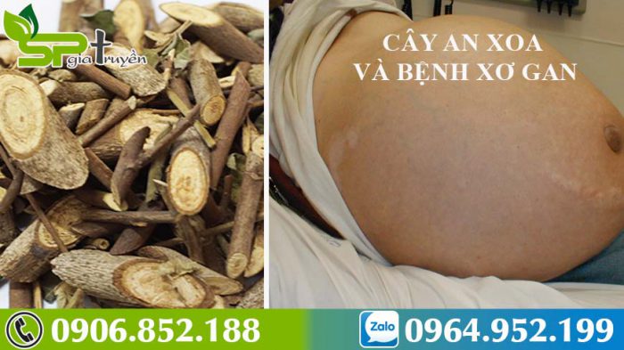 cay-an-xoa-tri-xo-gan