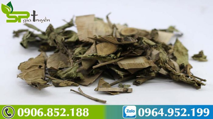 dung-cay-xa-den-tuoi-hay-kho-hieu-qua-hon-2