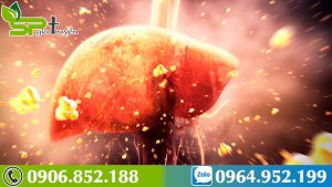 phong-ngua-men-gan-cao