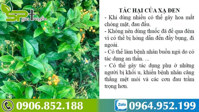 tac-hai-cua-cay-xa-den