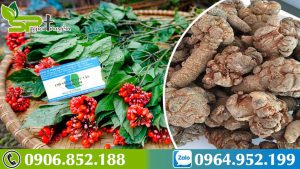 tam-that-bac-co-tac-dung-phu-khong