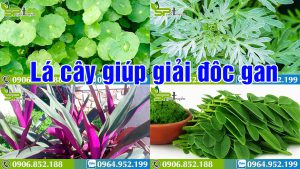 uong-la-gi-de-mat-gan-giai-doc