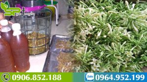 hoa-du-du-duc-ngam-mat-ong