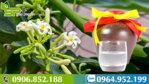hoa-du-du-duc-ngam-ruou