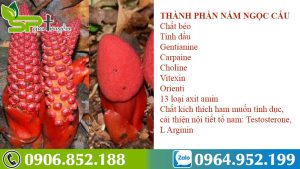 nam-ngoc-cau-gia-bao-nhieu-mua-o-dau