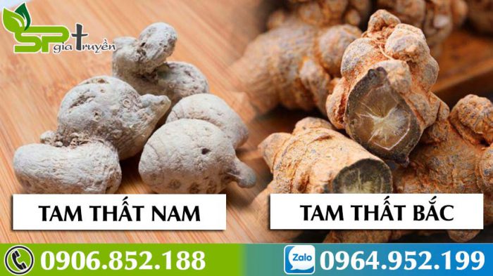 tam-that-bac-voi-tam-that-nam-loai-nao-tot-hon