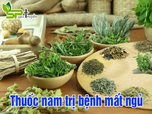 thuoc-nam-tri-benh-mat-ngu