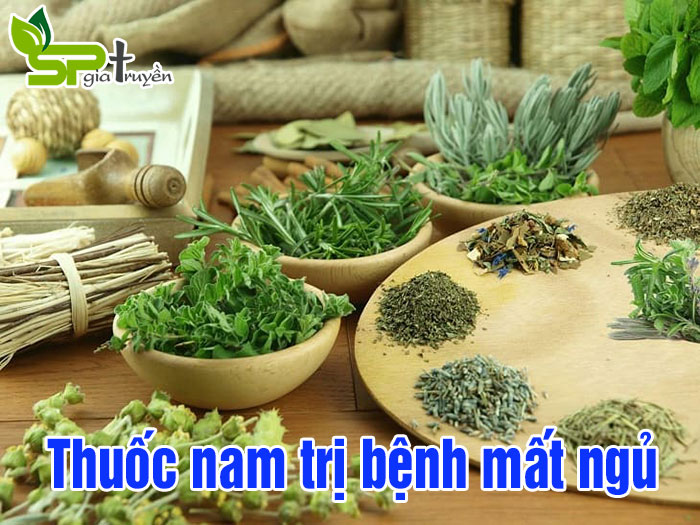 thuoc-nam-tri-benh-mat-ngu