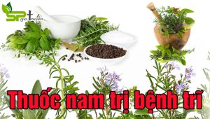 thuoc-nam-tri-benh-tri