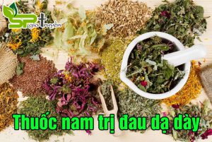 thuoc-nam-tri-dau-da-day