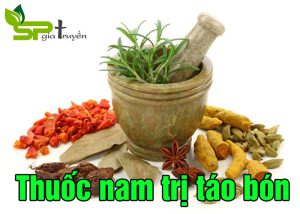 thuoc-nam-tri-tao-bon