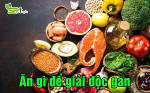 an-gi-de-giai-doc-gan