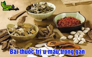 bai-thuoc-chua-u-mau-trong-gan