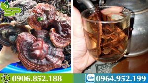 ban-nam-lim-xanh-rung-tai-ha-noi-1