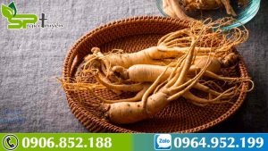 cach-phan-biet-sam-han-quoc-that-gia-1