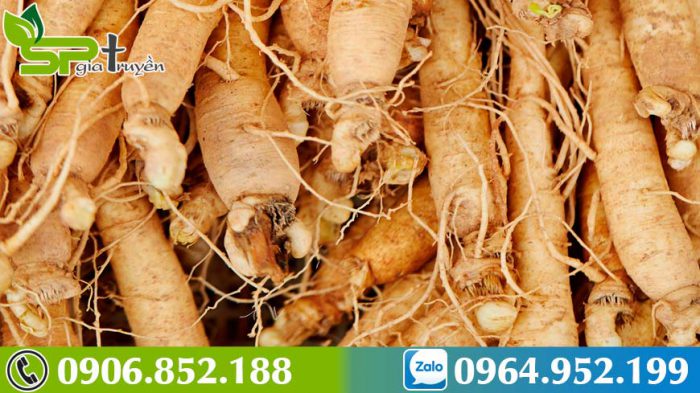 cach-phan-biet-sam-han-quoc-that-gia-2