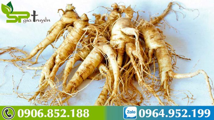 cach-phan-biet-sam-han-quoc-that-gia-3