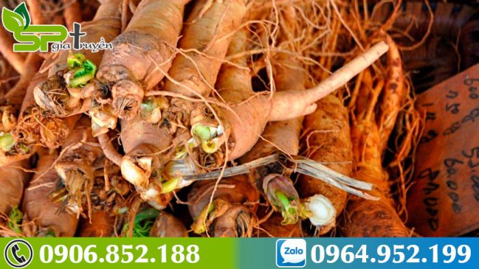 cach-phan-biet-sam-han-quoc-that-gia-4