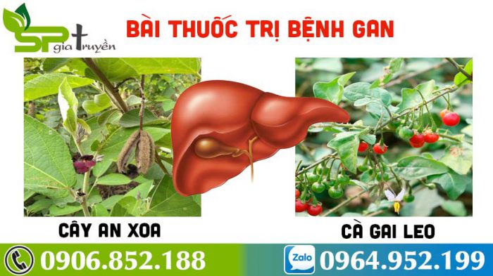 cach-su-dung-cay-an-xoa-2