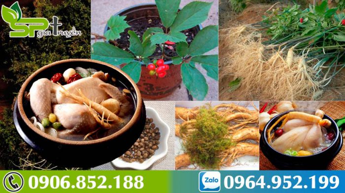 cach-su-dung-sam-han-quoc-2