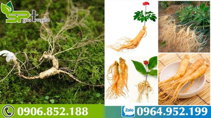 dung-sam-han-quoc-kieng-gi-3