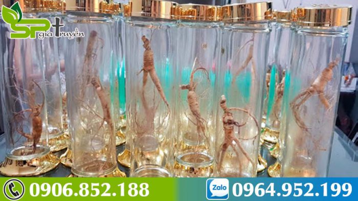 ruou-sam-han-quoc-1