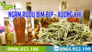 cay-xuong-khi-ngam-ruou-1