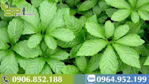 giao-co-lam-co-tac-dung-gi-1