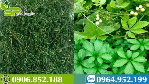 giao-co-lam-co-tac-dung-phu-khong-1