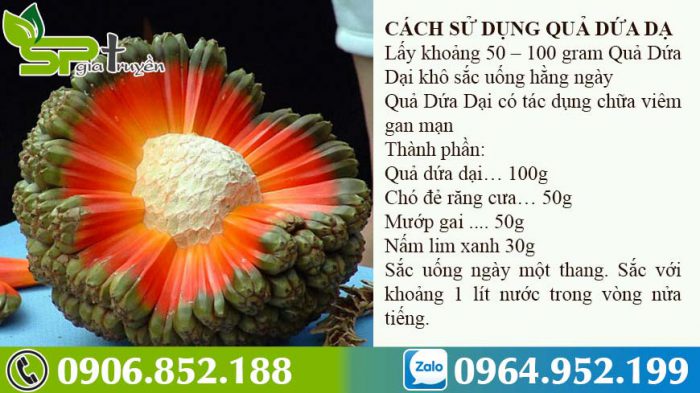 cach-dung-cua-qua-dua-dai