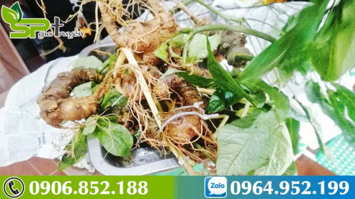 cach-tang-suc-de-khang-4