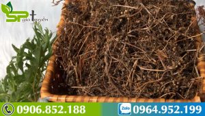 dac-diem-cay-ban-chi-lien