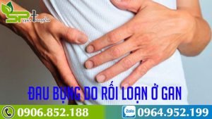 roi-loan-chuc-nang-gan-1