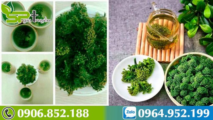 cach-dung-ruou-ngam-nu-tam-that