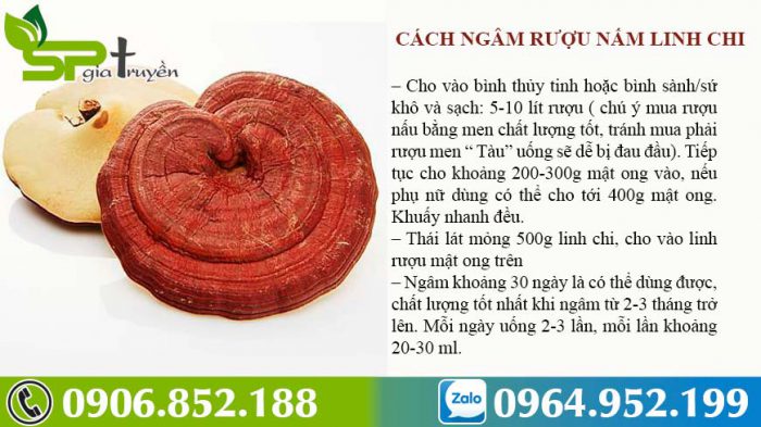 cach-ngam-ruou-nam-linh-chi