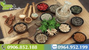 cay-thuoc-nam-chua-yeu-sinh-ly